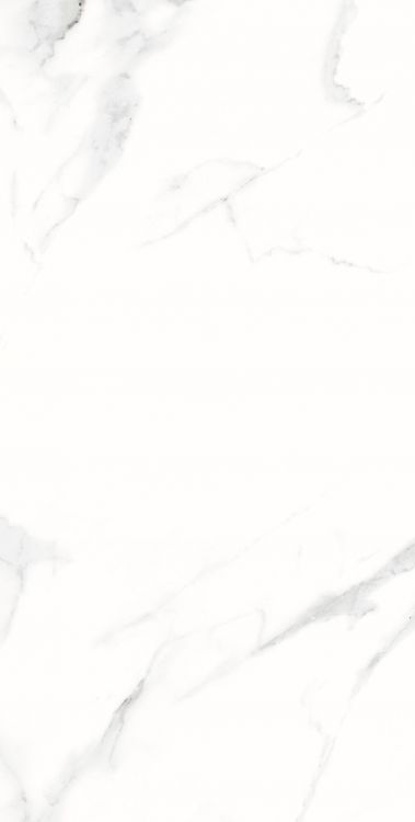 AGL Statuario Matte 12 x 24