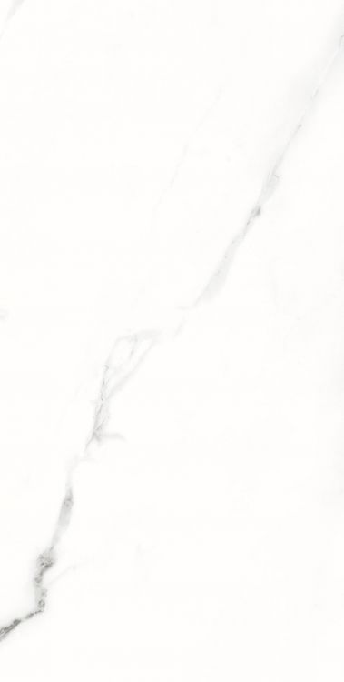 AGL Statuario Matte 12 x 24