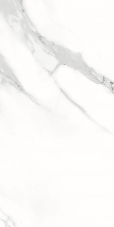 AGL Statuario Matte 12 x 24