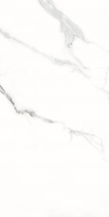AGL Statuario Matte 12 x 24