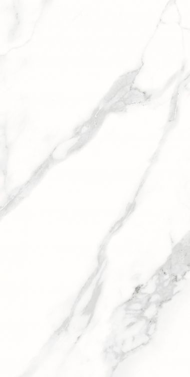 AGL Statuario Matte 12 x 24