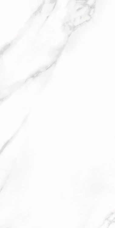AGL Statuario Matte 12 x 24