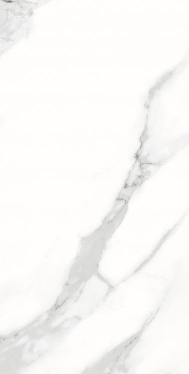 AGL Statuario Matte 12 x 24