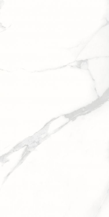 AGL Statuario Matte 12 x 24