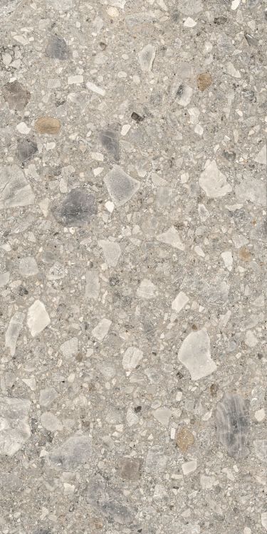 Orobica Beige Matte 24 x 48