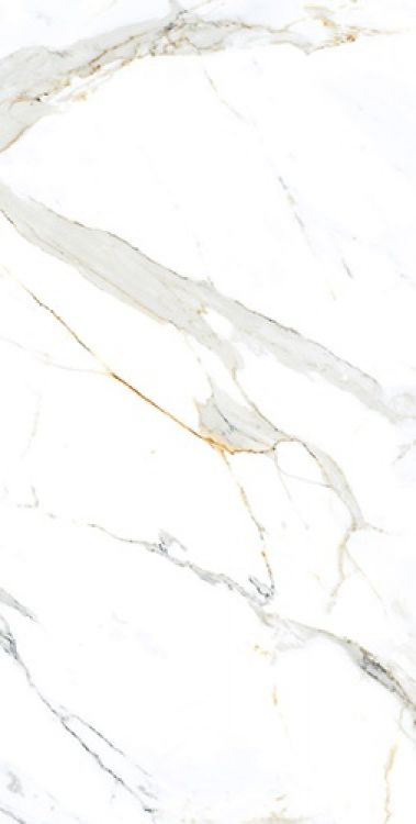 AGL Apia Orange Polished 24 x 48