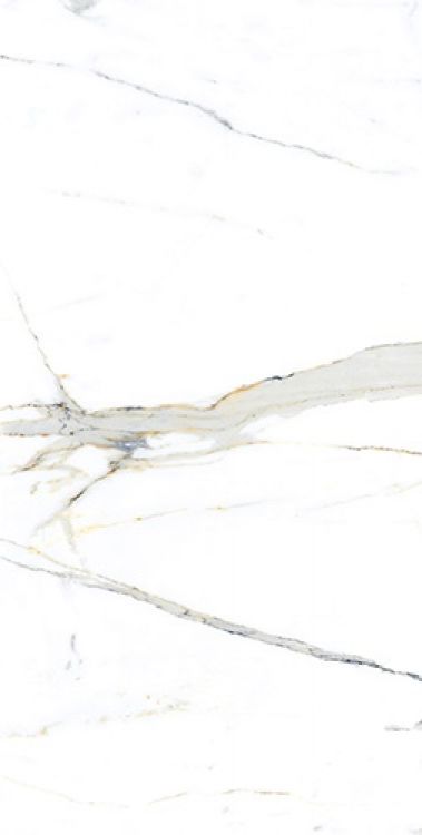 AGL Apia Orange Polished 24 x 48