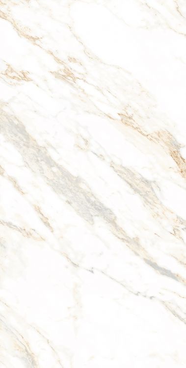 AGL Lusso Staturio Polished 24 x 48