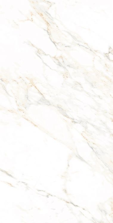AGL Lusso Staturio Polished 24 x 48