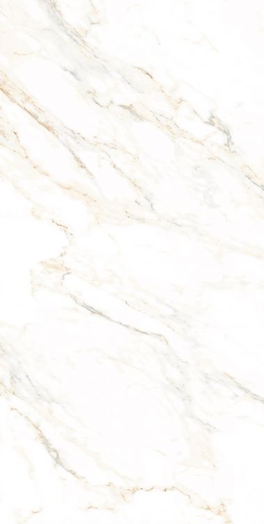 AGL Lusso Staturio Polished 24 x 48