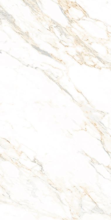 AGL Lusso Staturio Polished 24 x 48