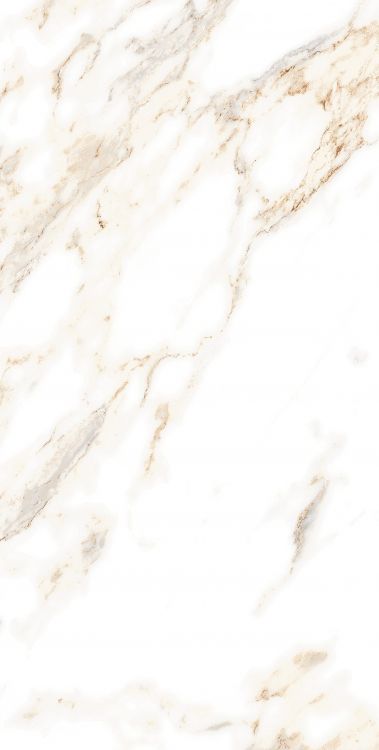 AGL Lusso Staturio Polished 12 x 24