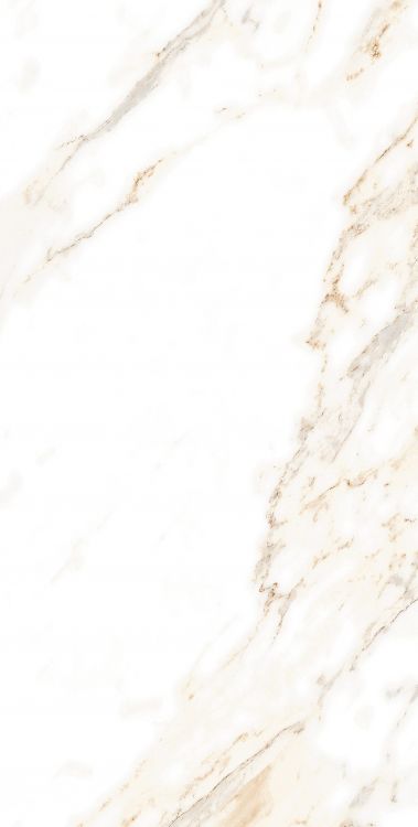 AGL Lusso Staturio Polished 12 x 24