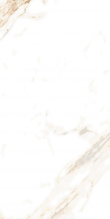 AGL Lusso Staturio Polished 12 x 24