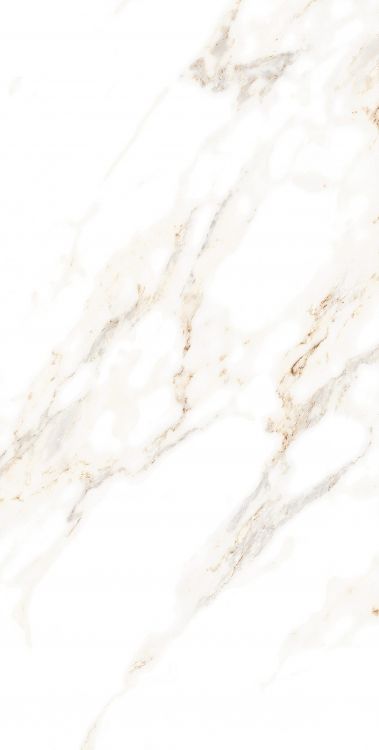 AGL Lusso Staturio Polished 12 x 24