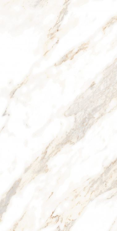 AGL Lusso Staturio Polished 12 x 24