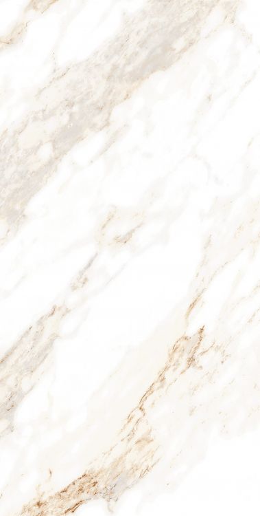 AGL Lusso Staturio Polished 12 x 24