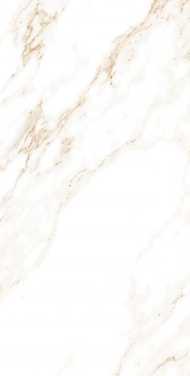 AGL Lusso Staturio Polished 12 x 24