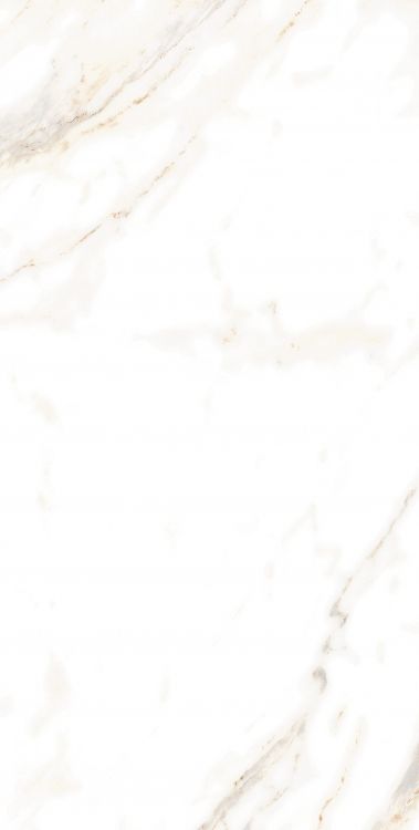 AGL Lusso Staturio Polished 12 x 24