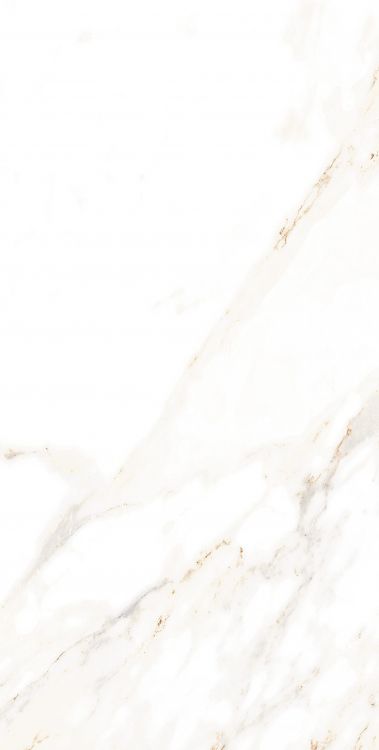 AGL Lusso Staturio Polished 12 x 24