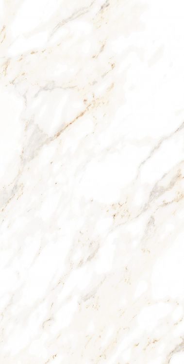AGL Lusso Staturio Polished 12 x 24