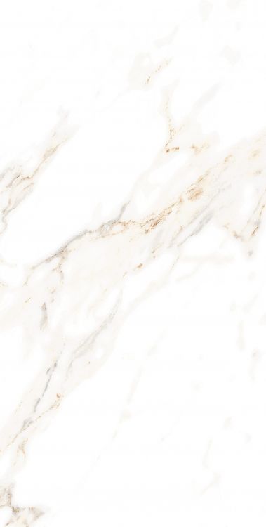 AGL Lusso Staturio Polished 12 x 24