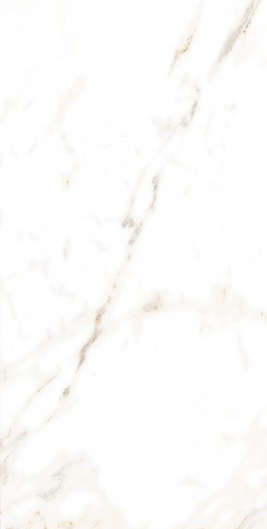 AGL Lusso Staturio Polished 12 x 24