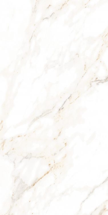 AGL Lusso Staturio Polished 12 x 24