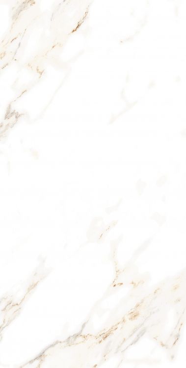 AGL Lusso Staturio Polished 12 x 24