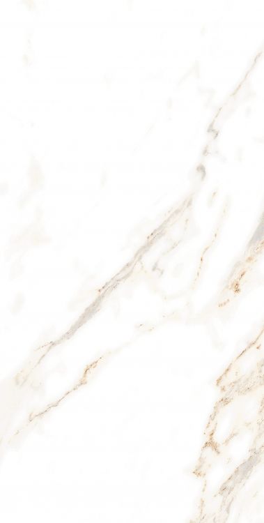 AGL Lusso Staturio Polished 12 x 24