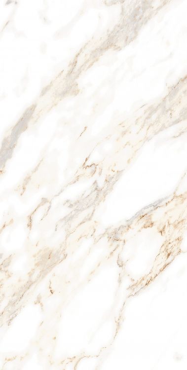 AGL Lusso Staturio Polished 12 x 24
