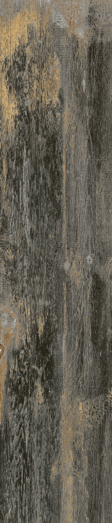 Cavalier Nero 8.50 x 40