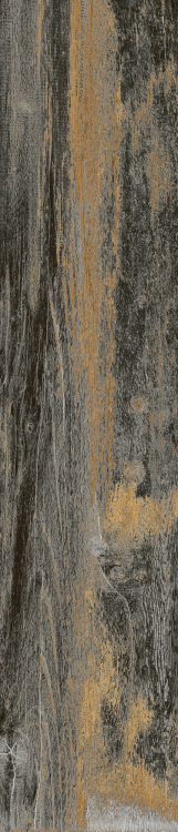 Cavalier Nero 8.50 x 40
