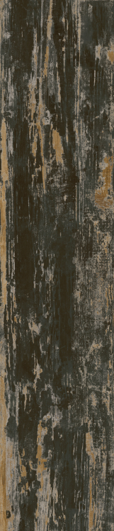 Cavalier Nero 8.50 x 40