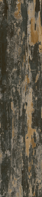 Cavalier Nero 8.50 x 40