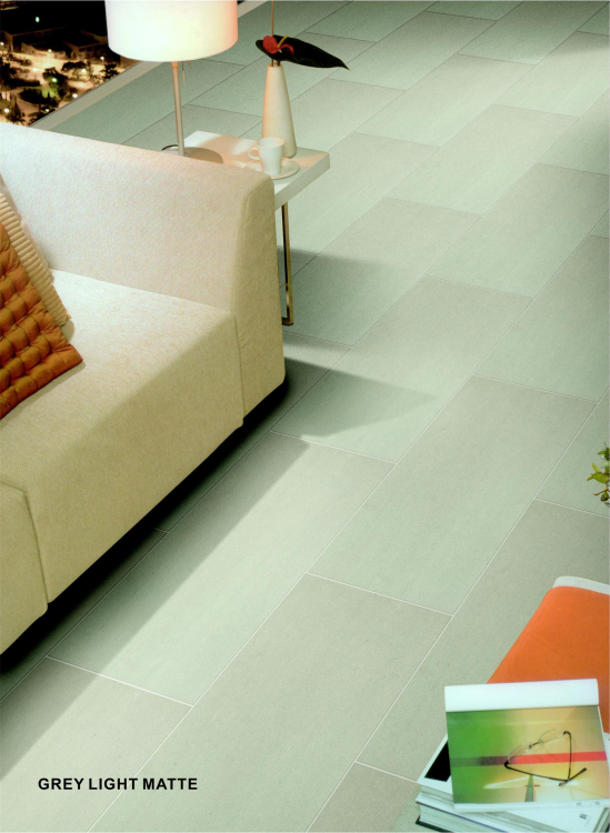 Grey Light Matte 12 x 24