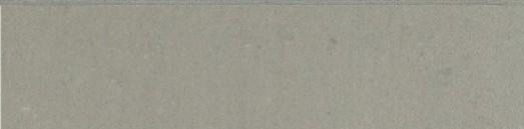 Grey Light Matte Bullnose 3 x 12