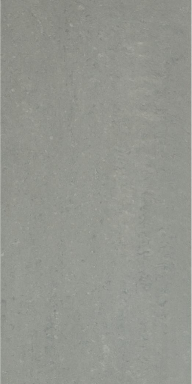 Grey Light Polished 12 x 24