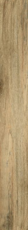 Larix Sabbia 8 x 68