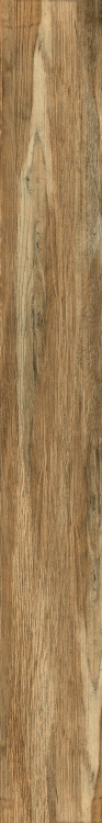 Larix Sabbia 8 x 68