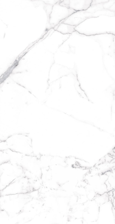 Malaysia Carrara Pre Matte 12 x 24