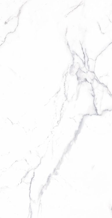 Malaysia Carrara Pre Matte 12 x 24