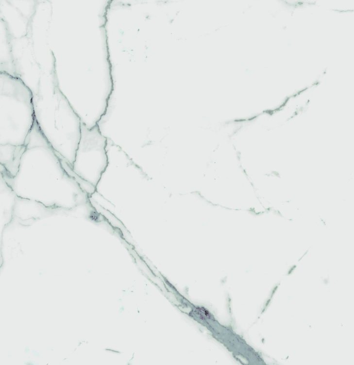 Malaysia Carrara Pre Polished 24 x 24