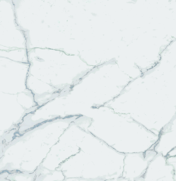 Malaysia Carrara Pre Polished 24 x 24
