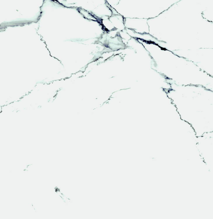 Malaysia Carrara Pre Polished 24 x 24