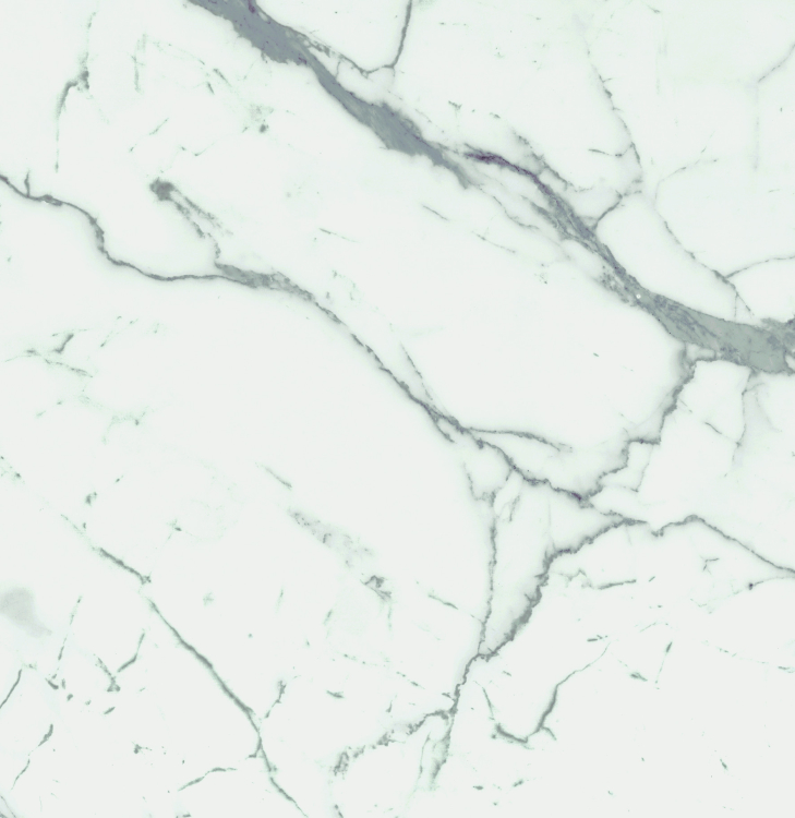 Malaysia Carrara Pre Polished 24 x 24
