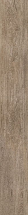 Selection Oak Amber 6 x 48