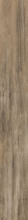 Selection Oak Amber 6 x 48
