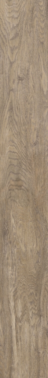 Selection Oak Amber 6 x 48