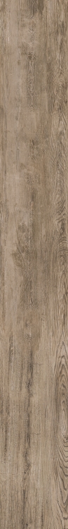 Selection Oak Amber 6 x 48